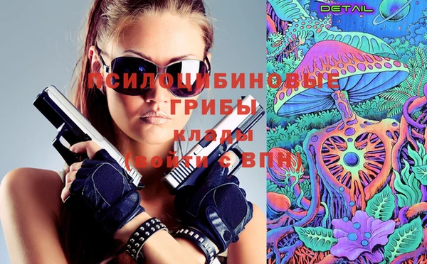 ешки Абинск