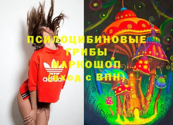 ешки Абинск