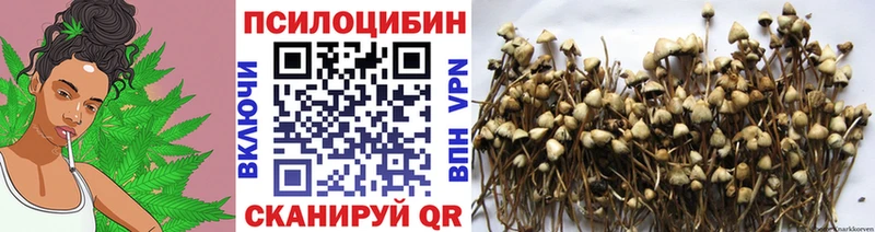 Галлюциногенные грибы Magic Shrooms  ссылка на мегу   Электроугли 